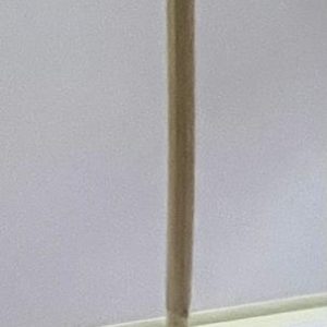Cane